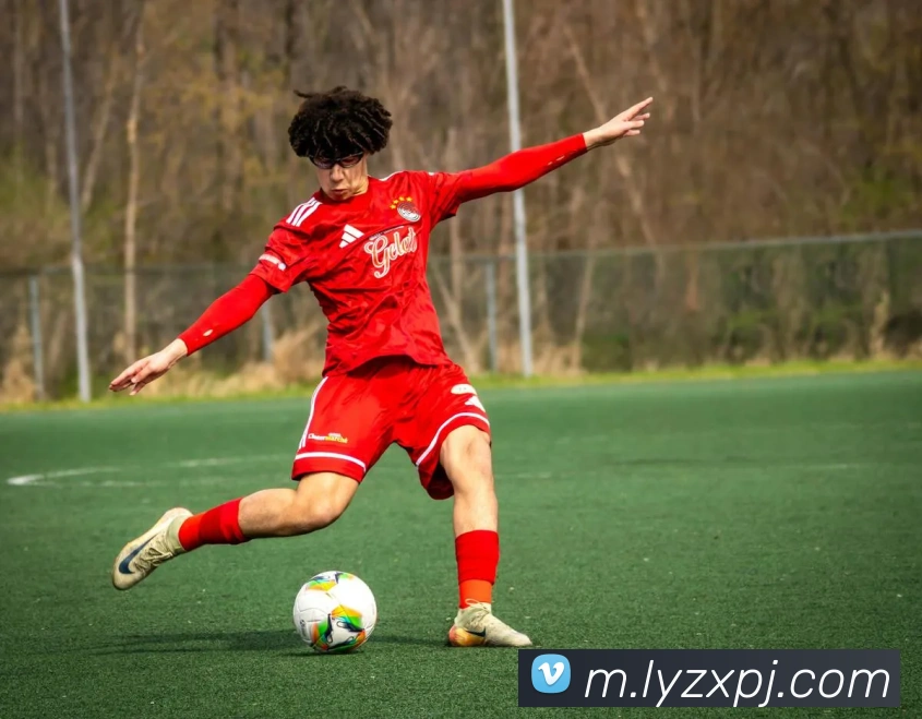 澳门新葡京官方网站APP 封面图